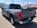 2023 Ford F-150 XL 2WD SuperCrew 5.5' Box