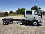 2026 Chevrolet Low Cab Forward 4500 HG 2WD Crew Cab 176"