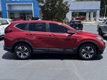 2021 Honda CR-V Special Edition 2WD